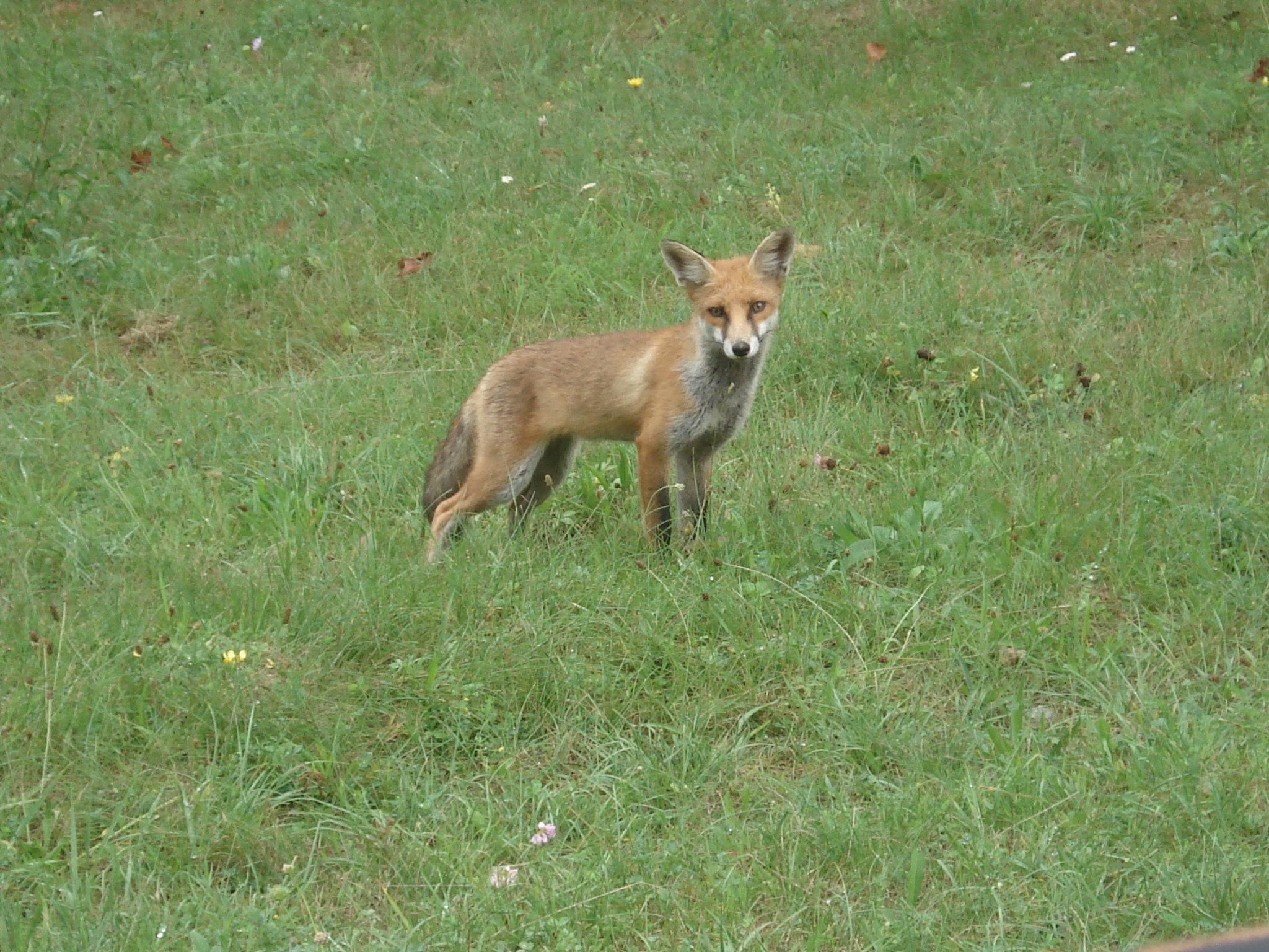 DSC05815.JPG