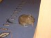 DSC05425.JPG